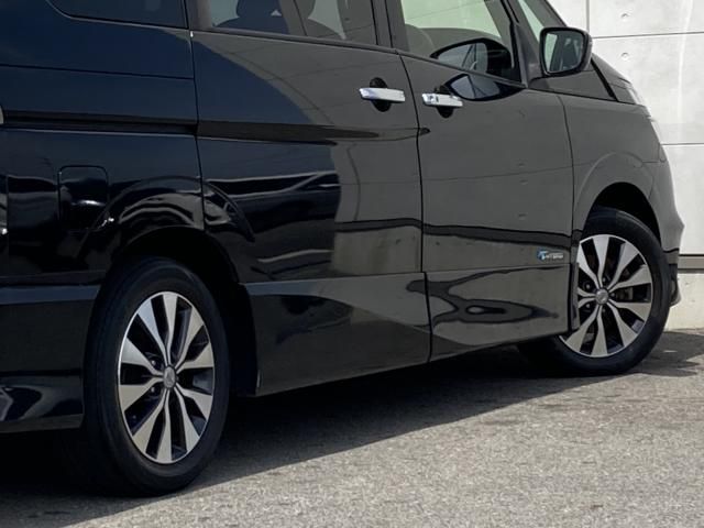 SERENA  S-HYBRID