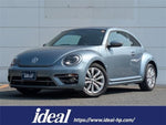 VOLKSWAGEN The BEETLE