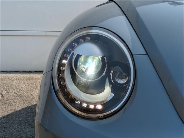 VOLKSWAGEN The BEETLE