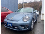 VOLKSWAGEN The BEETLE