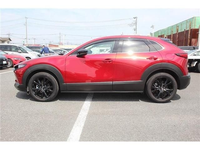 CX-30