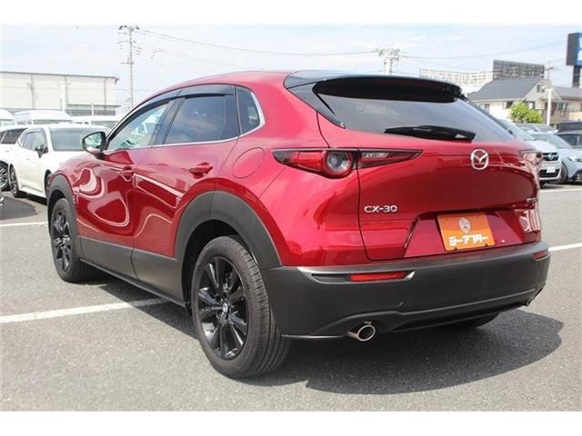 CX-30