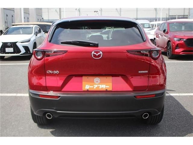 CX-30