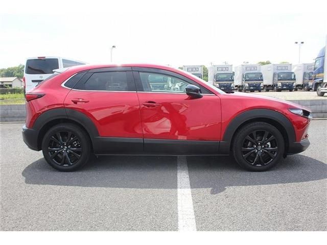 CX-30