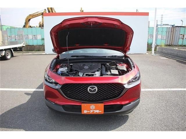 CX-30