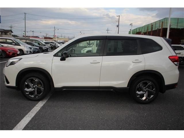 FORESTER