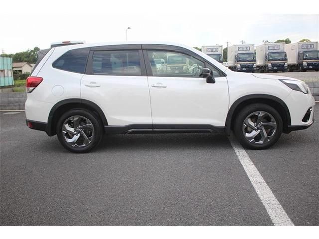 FORESTER
