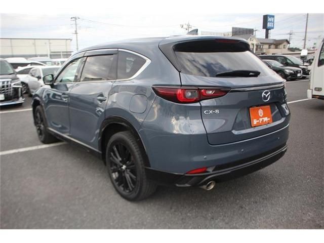 CX-8