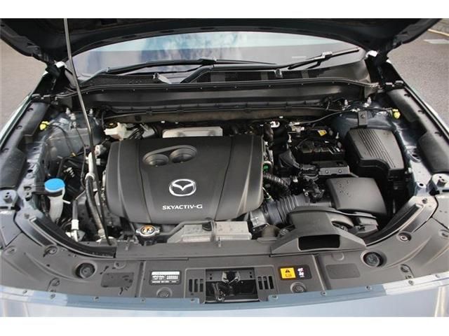 CX-8