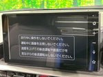 RAIZE HYBRID