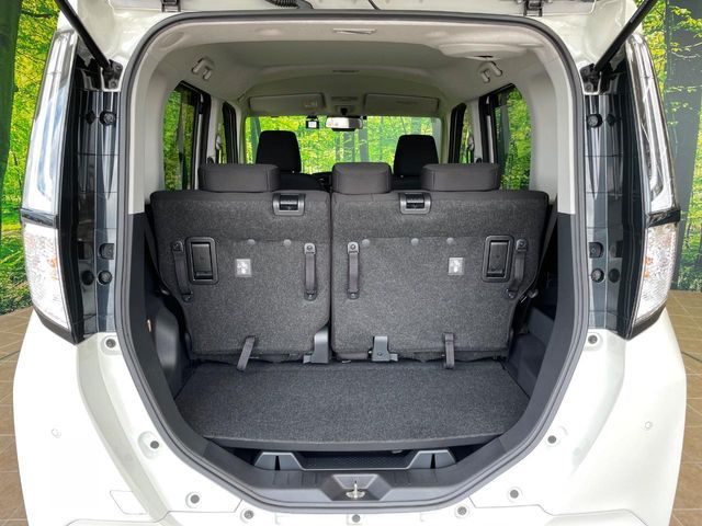ROOMY