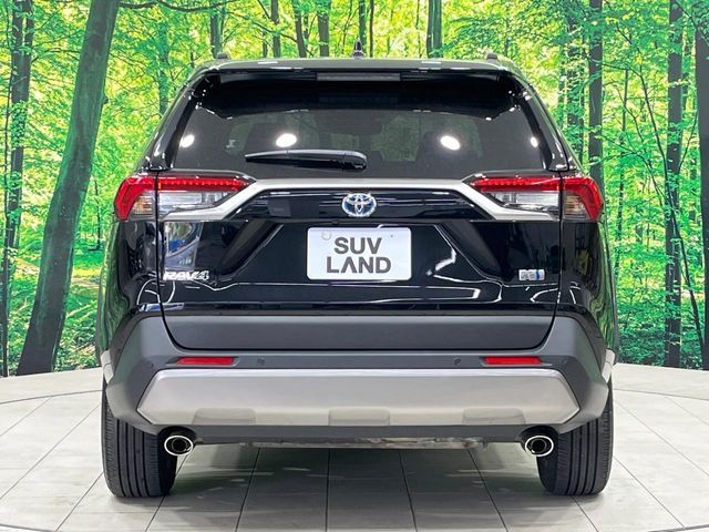 RAV4 HYBRID 4WD