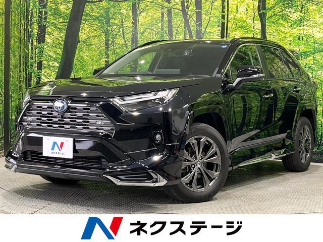 RAV4 HYBRID 4WD