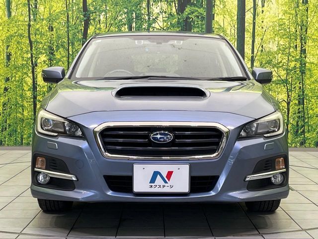 LEVORG