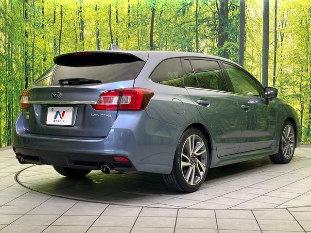 LEVORG