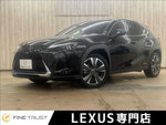 LEXUS UX250h