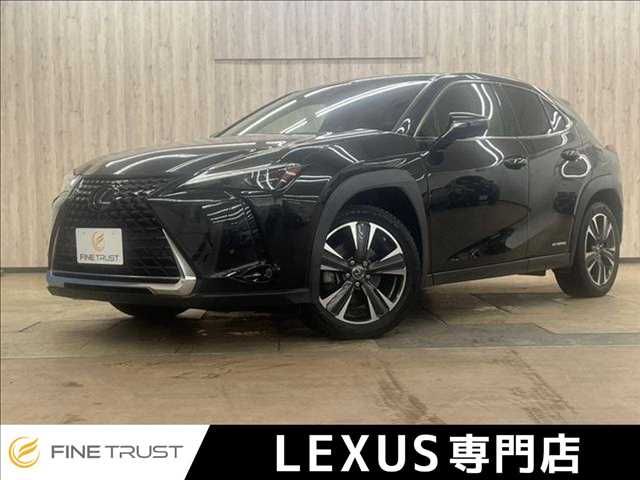 LEXUS UX250h
