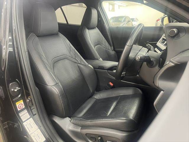 LEXUS UX250h