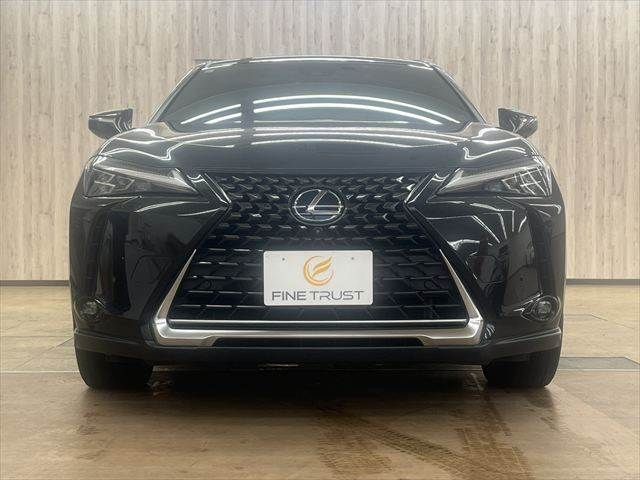 LEXUS UX250h