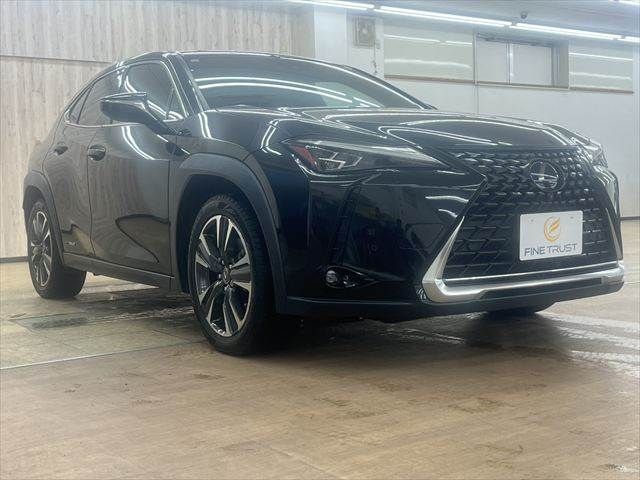 LEXUS UX250h