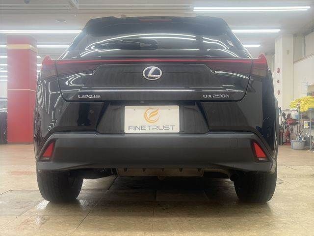 LEXUS UX250h