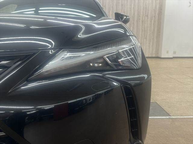 LEXUS UX250h