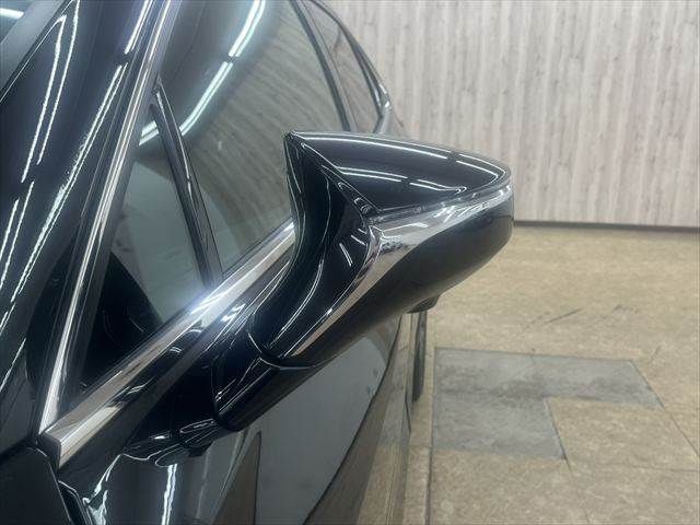 LEXUS UX250h
