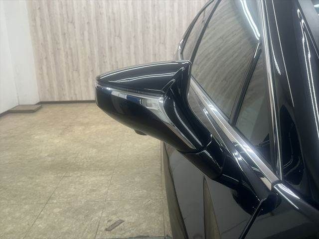 LEXUS UX250h