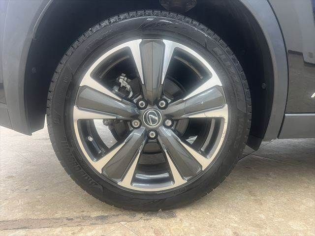LEXUS UX250h