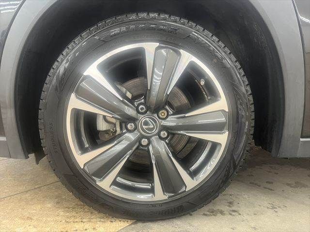 LEXUS UX250h