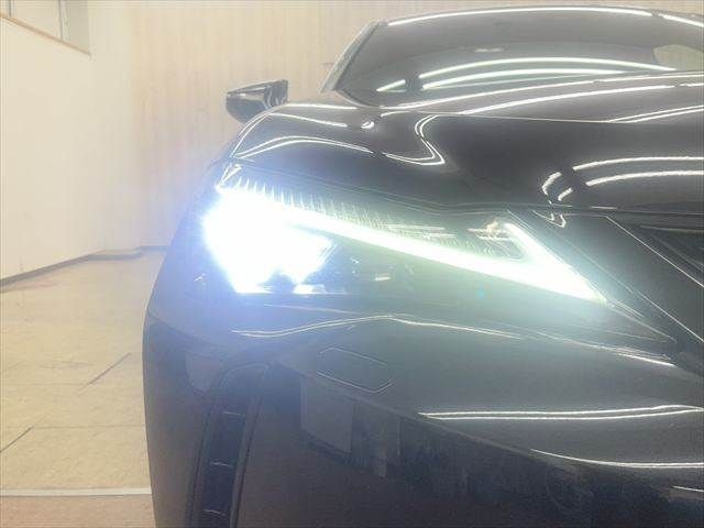 LEXUS UX250h