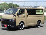 BROANY van 2WD
