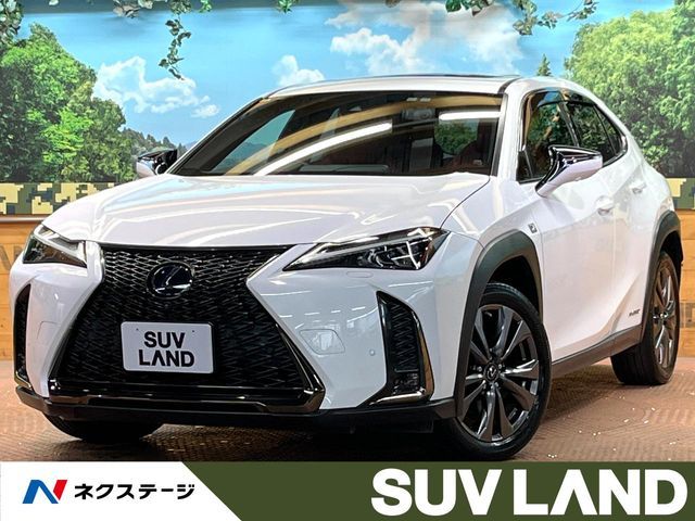 LEXUS UX250h