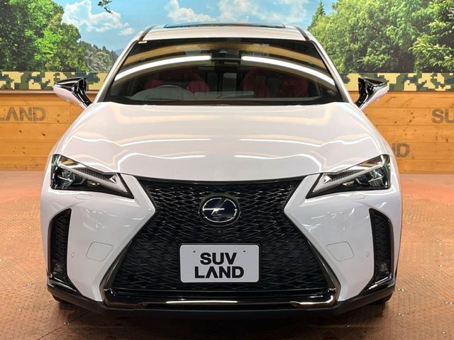 LEXUS UX250h