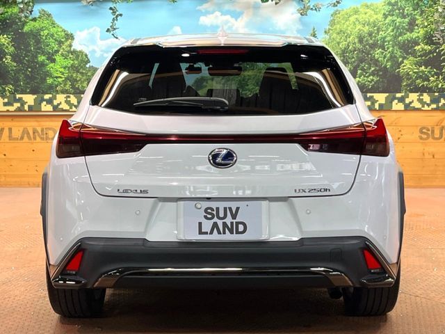 LEXUS UX250h