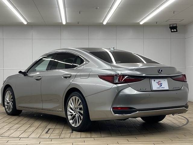 LEXUS ES300h
