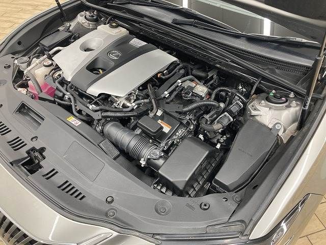 LEXUS ES300h