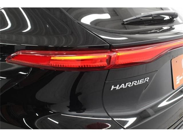 HARRIER HYBRID