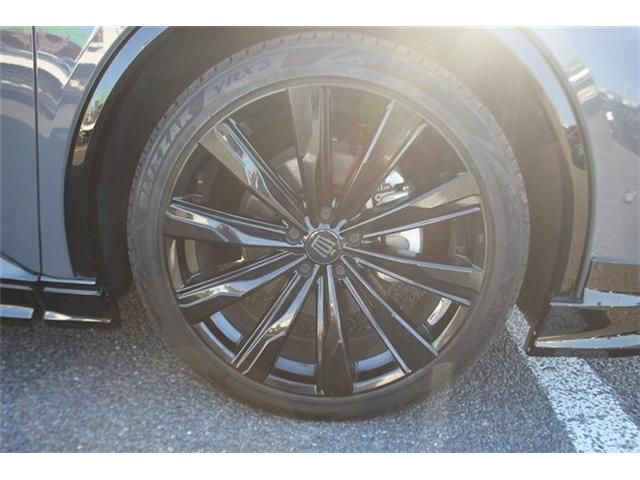 CROWN SPORT
