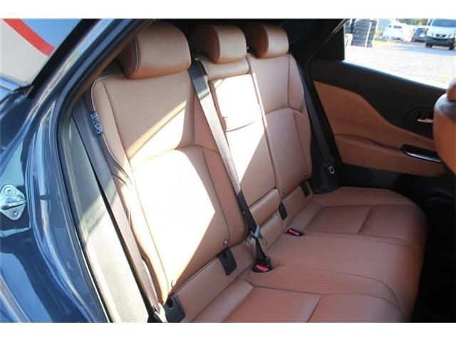 CROWN SPORT
