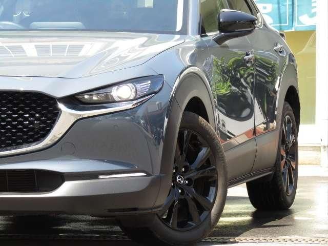 CX-30