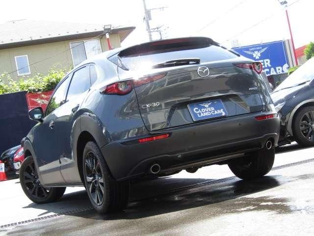 CX-30