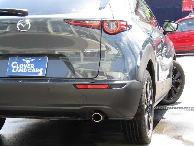 CX-30