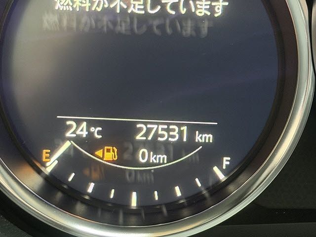ROADSTER RF
