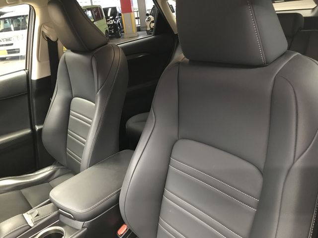 LEXUS NX300 AWD