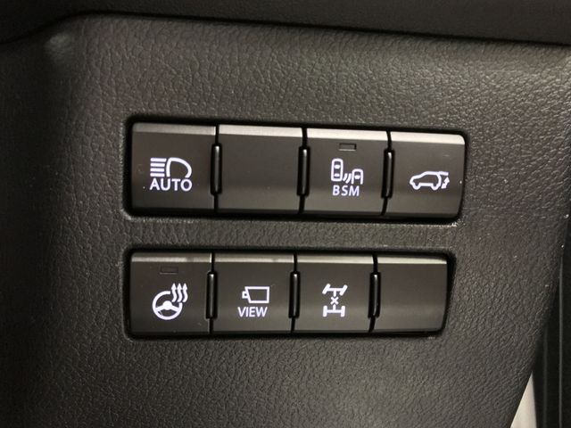 LEXUS NX300 AWD