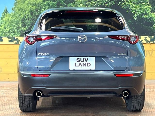 CX-30