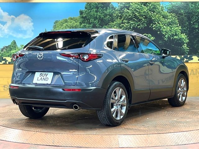 CX-30