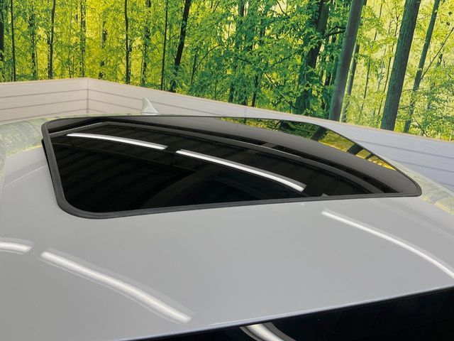 LEXUS RC300h