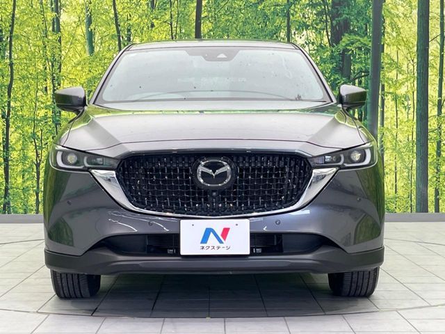 CX-8